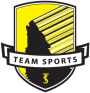 Club Emblem - TEAM SPORTS EMPREENDIMENTOS LTDA